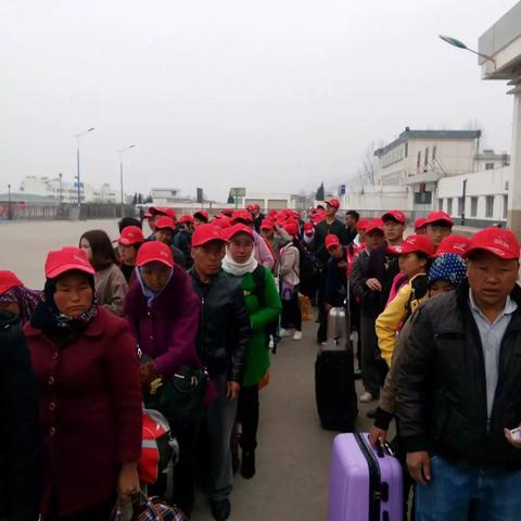 张虎做什么生意赚钱最快？深度解析与案例分享