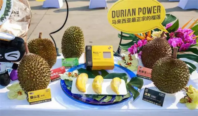 加盟半生榴莲，开启你的创业新篇章