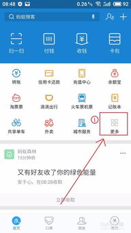 蚂蚁花呗提现全攻略，官方渠道+隐藏方法+避坑指南