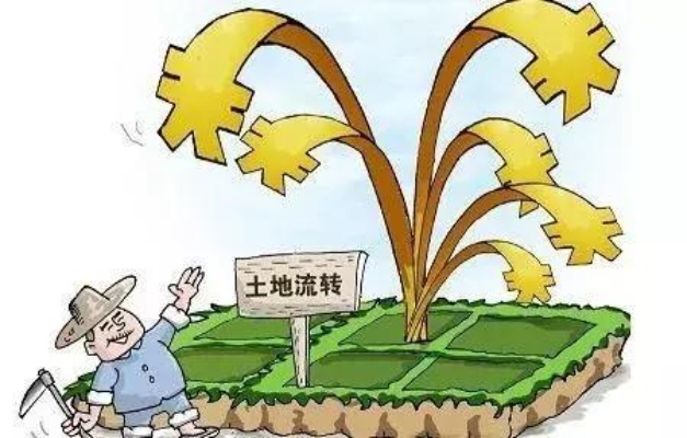 土地能种什么致富，种植策略与成功案例分析