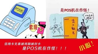 上海羊小咩便荔卡套现到账时间一览