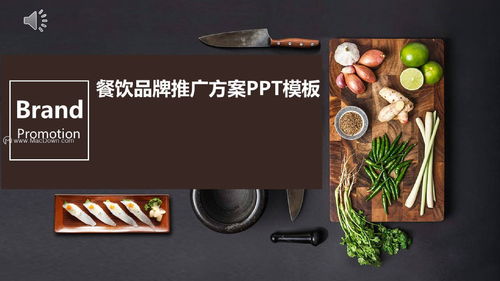 餐饮品牌传递方案模板