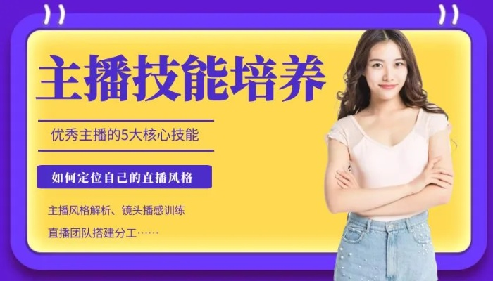 淘宝主播如何快速赚钱，策略、技巧与成功案例解析