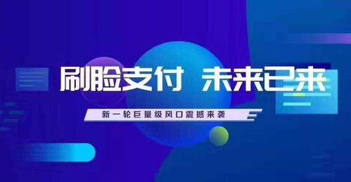 微店放心花套，刷脸支付安全与操作探讨