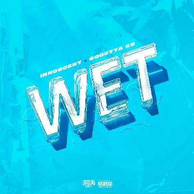 探索汽车界的湿界—Wet品牌的魅力与挑战