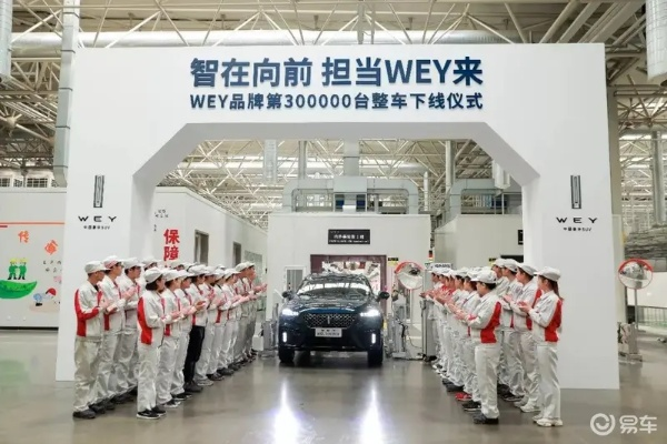 探索汽车界的湿界—Wet品牌的魅力与挑战