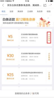 揭秘巩义京东白条提现攻略，轻松变现，享受便捷生活！