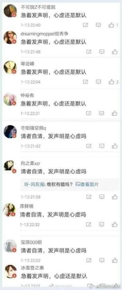 揭秘笨小二花呗套出来，揭秘花呗套现背后的秘密与风险