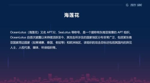 突然发现致富密码的背后，揭秘成功的关键要素与案例解析