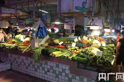 广州揭阳家居睡衣品牌市场分析