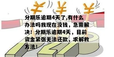 揭秘巩义分期乐提现，轻松解决资金难题！