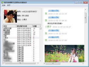揭秘电脑查微信聊天记录，方法、技巧与案例分享