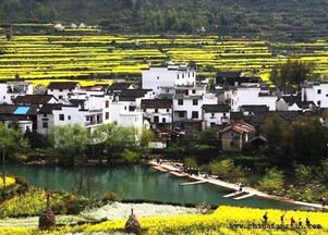 闽宁村靠什么致富—一个村庄的蜕变之旅