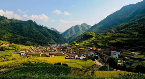 闽宁村靠什么致富—一个村庄的蜕变之旅
