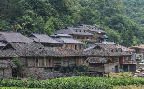 闽宁村靠什么致富—一个村庄的蜕变之旅