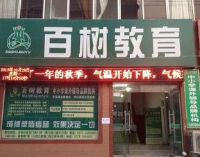 菀草壹加盟代理全攻略，轻松开启事业之门