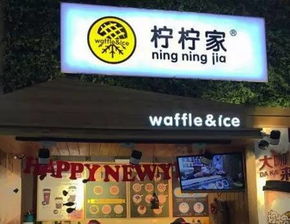 菀草壹加盟代理全攻略，轻松开启事业之门