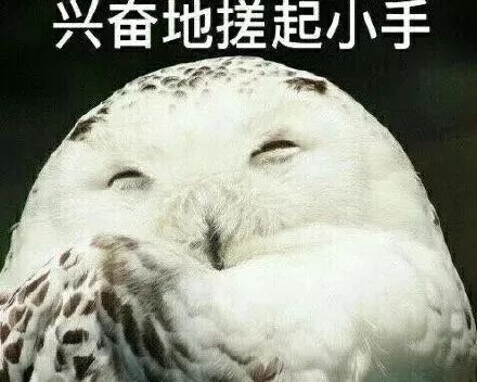 羊小咩便荔卡套出来自己弄，揭秘羊小咩的理财之道