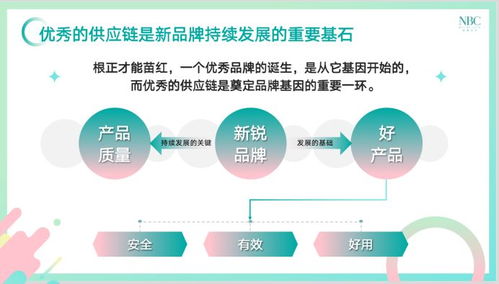 打造精简化妆品品牌的策略与实践