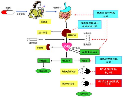 山村致富的多元路径与实用策略