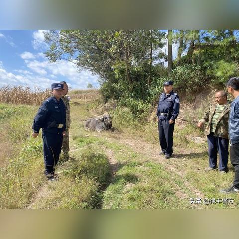 揭秘微信历史聊天记录恢复大法，让你失而复得！