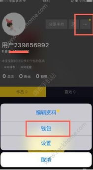 抖音月付提现攻略，分期提现，轻松解压你的钱包！