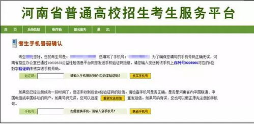 可以在网上查酒店记录吗？详解查询流程与注意事项