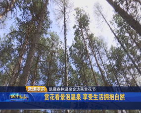 tp户外品牌—探索自然，享受生活