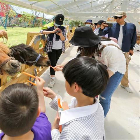 母婴品牌综艺—探索育儿新风尚，打造亲子互动新模式