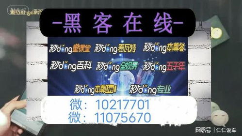 揭秘黑客24小时黑客在线接单网站，风险与警示