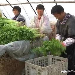 40岁以后做什么工种赚钱，探讨与实例分析