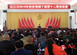 益阳致富典型企业探秘