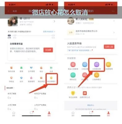 怎么找微店放心花套出来的商家—实用攻略与案例解析