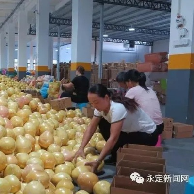 微店放心花诚信商家柚子套，品质与信誉的双重保障