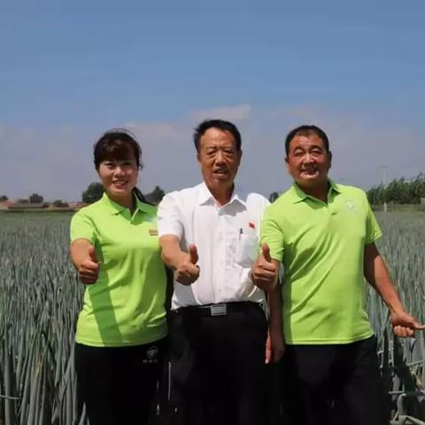 经济致富的要诀，策略、行动与案例解析