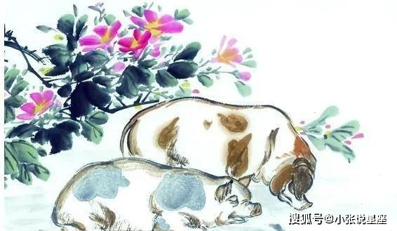 共同致富之路上的生肖力量