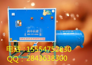 粉制粮品加盟全攻略，从入门到精通