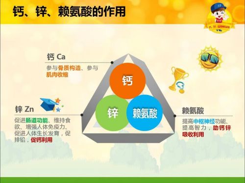 母婴补锌的重要性与选择指南