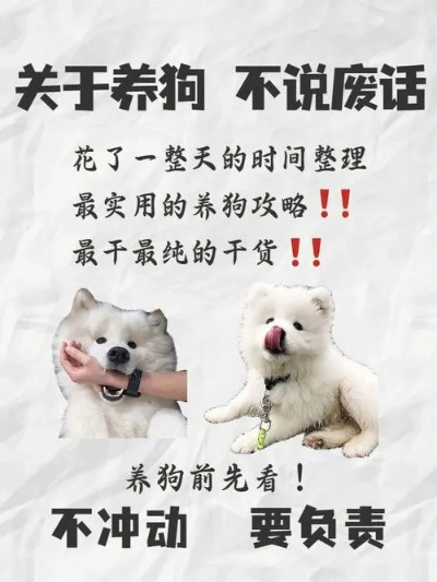 现在狗做什么工作最赚钱