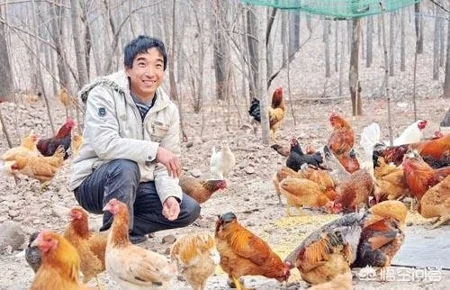 哪些人会选择回乡创业？让我们聊聊他们的故事