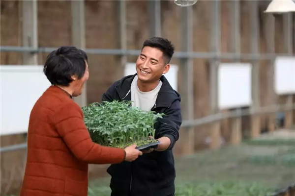 哪些人会选择回乡创业？让我们聊聊他们的故事