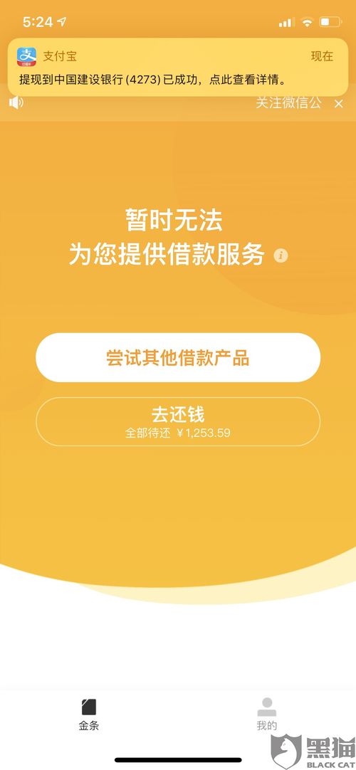 揭秘正宗白条提现—真相、操作与注意事项