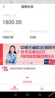 揭秘正宗白条提现—真相、操作与注意事项