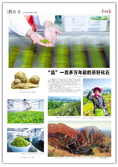 什么样的地方致富，地方优势与经济发展之路