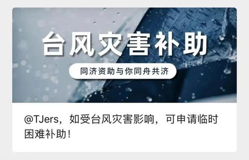 黑客24小时在线接单服务，需求、风险与应对之道