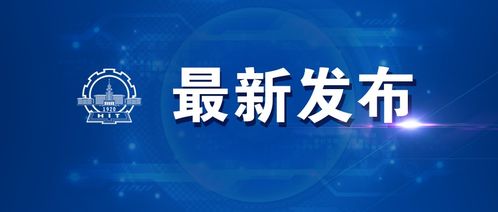 黑客24小时在线接单服务，需求、风险与应对之道