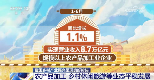 乡镇赶集做什么最赚钱？看我一一揭秘