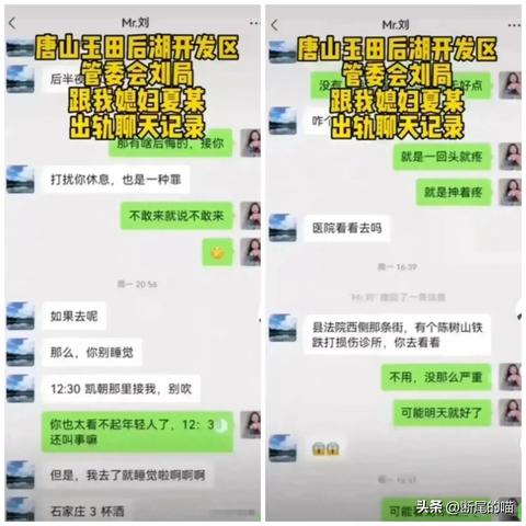 查酒店开房记录网站深度揭秘，如何保护你的隐私与安全？