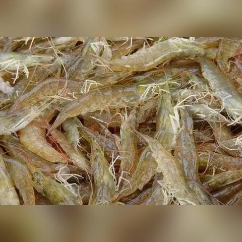 汕尾电脑剥线机品牌概览