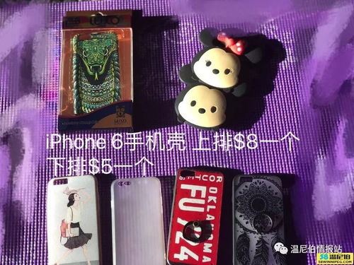 揭秘羊小咩便荔卡套的真假之谜